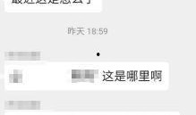 微城事最新爆料,最新爆料背后的惊人真相