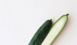 青瓜最新爆料图片高清,揭秘神秘画面背后的故事